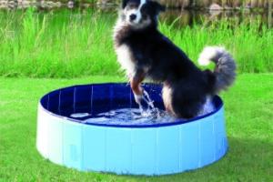 Trixie Piscine pour chien 1,6 m Trixie Piscine pour chien 1,6 m