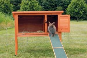 Trixie Rampe en bois pour clapier pour petits animaux 50 cm