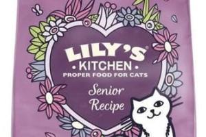 Lily's Kitchen Chat Senior Poisson Lily's Kitchen Chat Senior Poisson