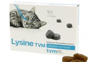 Lysine Lysine