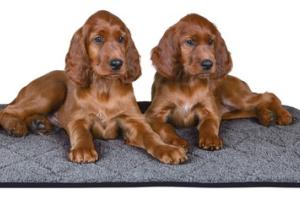 Matelas thermique Matelas thermique