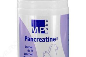 Pancréatine Pancréatine