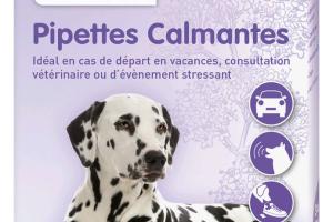 Pipettes pour chien anti-stress et calmantes Pipettes pour chien anti-stress et calmantes