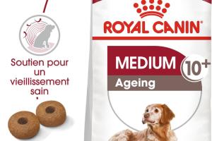 Royal Canin Chien Medium Ageing +10