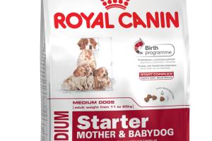Royal Canin Chien Medium Starter