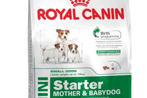 Royal Canin Chien Mini Starter