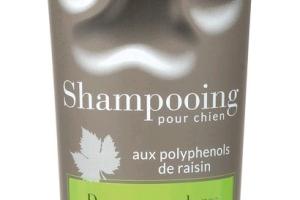 Shampooing pour chien tous types de pelage - Premium