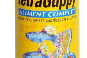 Tetra Guppy Tetra Guppy