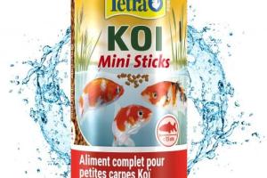 TetraPond Koï Mini Sticks TetraPond Koï Mini Sticks