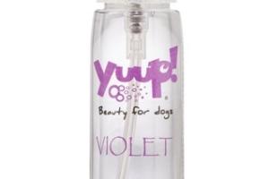 Yuup Fashion - Parfums Color your style Violet Yuup Fashion - Parfums Color your style Violet