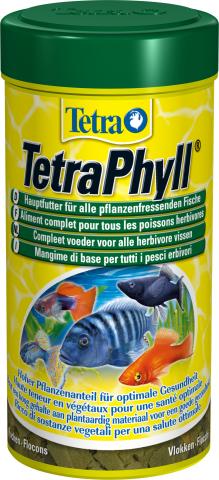 TetraPhyll