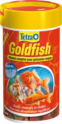 Tetra Goldfish Tetra Goldfish