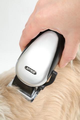 Zolux Kit tondeuse électrique pour chien