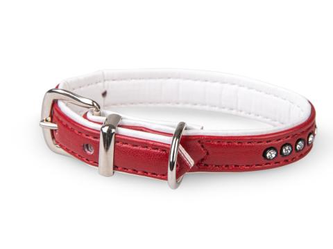 Vadigran Chien Collier Crystal Rouge Vadigran Chien Collier Crystal Rouge