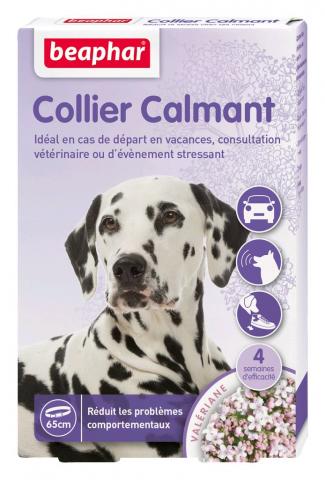 Collier pour chien anti-stress et calmant Collier pour chien anti-stress et calmant