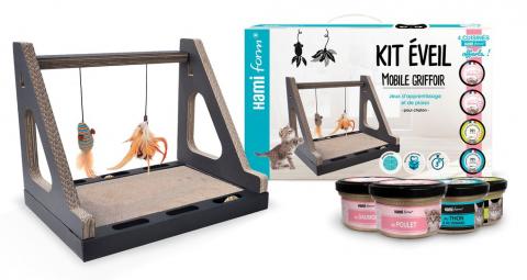 Hamiform Kit Eveil pour Chaton