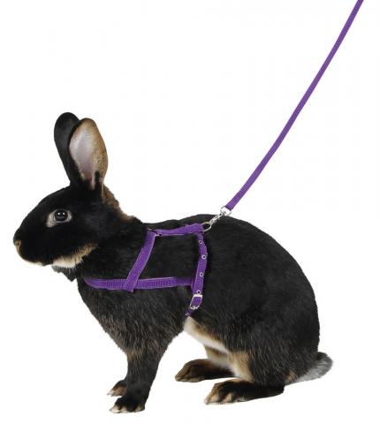 Kerbl Harnais Rongeur Agility