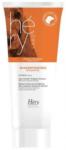 Héry Chien Shampoing Poils Abricots