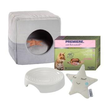 AniOne Kit de démarrage New Kitten