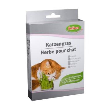 Bubimex Herbe pour chat 100g Bubimex Herbe pour chat 100g