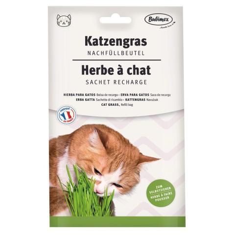 Bubimex Herbe pour chat - Sachet recharge 100g Bubimex Herbe pour chat - Sachet recharge 100g
