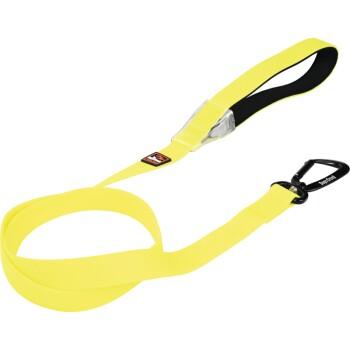 Dogs Creek laisse lumineuse Polar Light