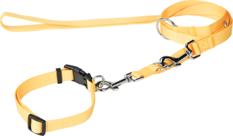 FIT+FUN Collier + laisse jaune S