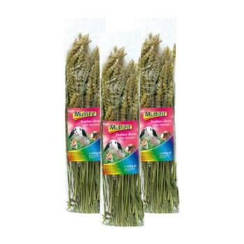 MultiFit snack pour rongueurs Épis de blé 3x120g