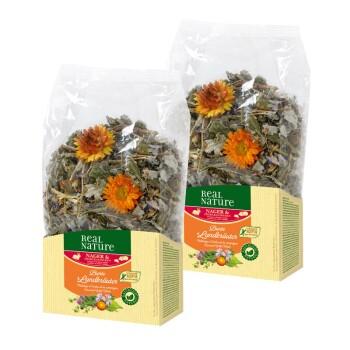 REAL NATURE Herbes 2 x 100 g Mélange d'herbes de la campagne
