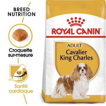 ROYAL CANIN Cavalier King Charles Adulte Croquettes Chien 7,5 kg ROYAL CANIN Cavalier King Charles Adulte Croquettes Chien 7,5 kg
