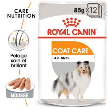 ROYAL CANIN Coat Care Adult Mousse 12x85 g ROYAL CANIN Coat Care Adult Mousse 12x85 g