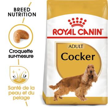 ROYAL CANIN Cocker Adulte Croquettes Chien 12 kg ROYAL CANIN Cocker Adulte Croquettes Chien 12 kg