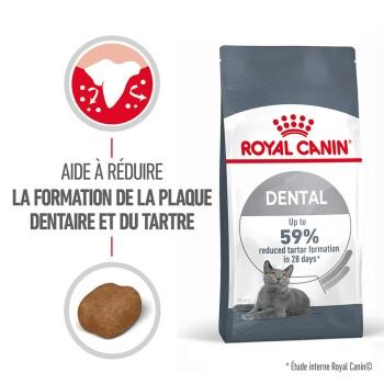 ROYAL CANIN Dental Care Croquettes Chat 400 g ROYAL CANIN Dental Care Croquettes Chat 400 g
