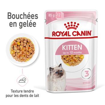 ROYAL CANIN Kitten en gelée 12x85 g
