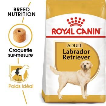 ROYAL CANIN Labrador Retriever Adulte 12 kg ROYAL CANIN Labrador Retriever Adulte 12 kg