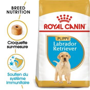 ROYAL CANIN Labrador Retriever Chiot Croquettes Chien 3 kg