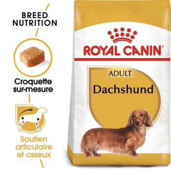 ROYAL CANIN Teckel Adulte Croquettes Chien 1,5 kg ROYAL CANIN Teckel Adulte Croquettes Chien 1,5 kg