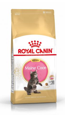 Royal Canin Race Maine Coon Kitten