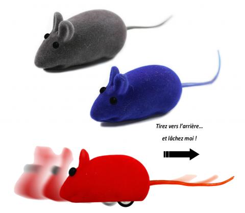 Mini souris à friction