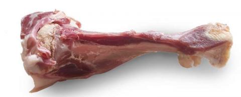 Os jambon de parme sous vide Os jambon de parme sous vide