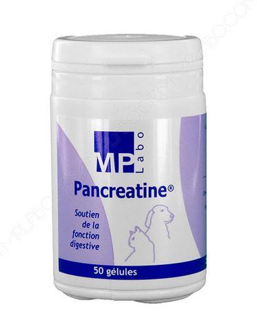 Pancréatine