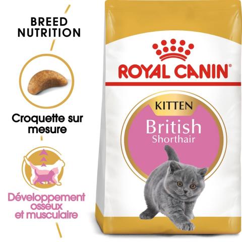 Royal Canin Race British Shorthair Kitten Royal Canin Race British Shorthair Kitten