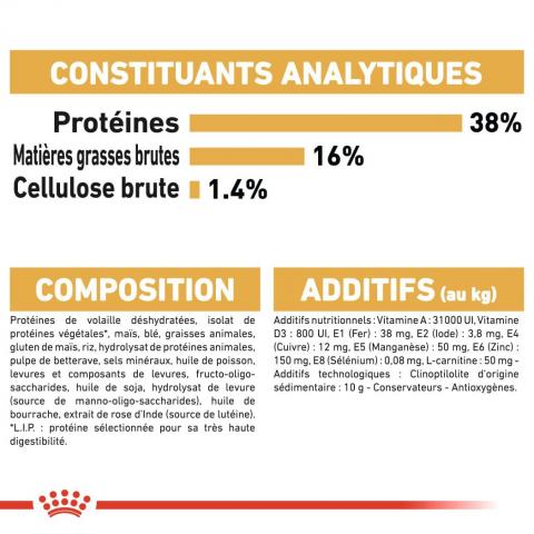 Royal Canin Race Siamois Adult