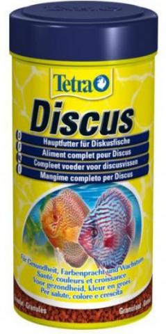 Tetra Prima Discus Tetra Prima Discus