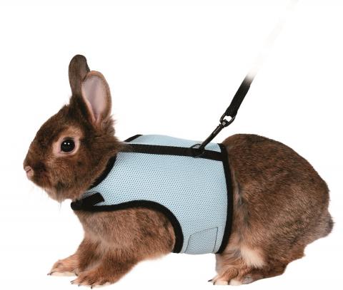 Trixie Harnais & Laisse Soft Lapin